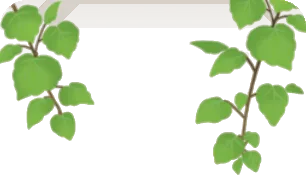 垂れ下がるつる植物の画像