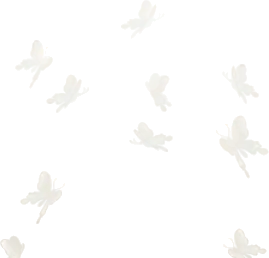 光に導かれる白蝶の画像