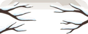 雪の積もった木の枝の画像