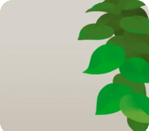 のび放題の緑・右の画像