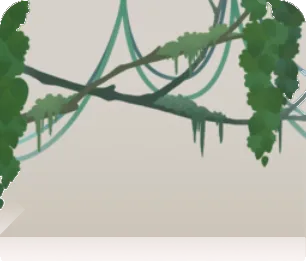 神殿の森にかかる植物の画像