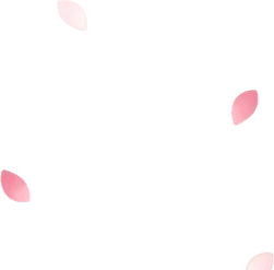 舞い落ちる薔薇の花びらの画像