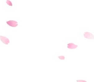 舞い散る桜の花びらの画像