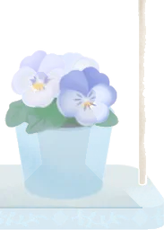 ビオラの植木鉢の画像