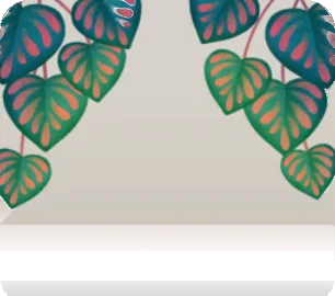 ハートリーフの植物の画像
