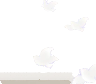 羽ばたく鳥の幻の画像