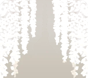 花のカーテン・明の画像