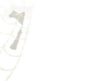 きらめく朝露と蜘蛛の巣の画像