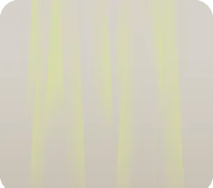 降り注ぐ木漏れ日の画像