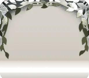 天井を覆うつる草の画像