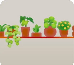 観葉植物の置かれた吊り棚の画像