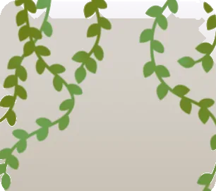 垂れ下がる日除けのつる植物の画像