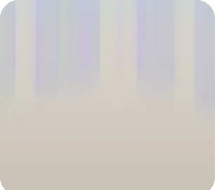 優しく差しこむ光の画像