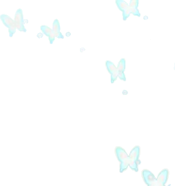 春に飛び立つ蝶の画像