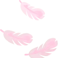 舞い落ちる羽毛・ピンクの画像