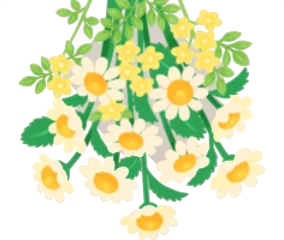 庭で摘んだお花たちの画像
