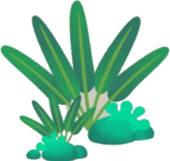 原生林の植物たちの画像