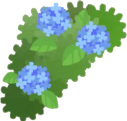 青い紫陽花の画像