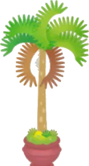 ヤシの木の植木鉢の画像