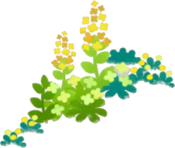 キノコの森の黄色い小花・左の画像