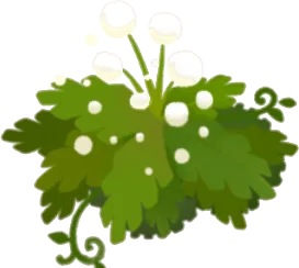 白玉の草の画像