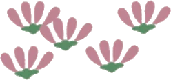 小さな桃色の花の画像