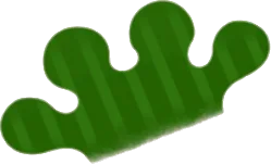 お弁当用の植物の画像