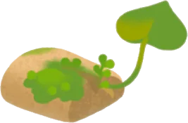 苔むしたコルクの画像