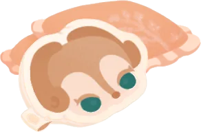 プリントクッション・パキケの画像