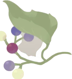 秋の植物・ヤマブドウの画像