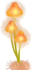 ヒカリノキノコ・左の画像
