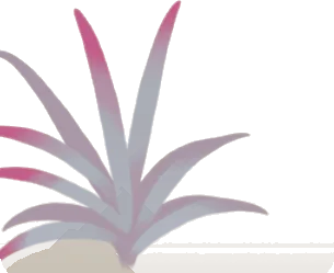 細長い葉の温室の植物・赤の画像