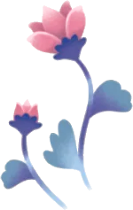 ドリームブルーム・左の画像