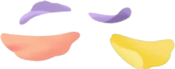ワイルドフラワーの花びらの画像