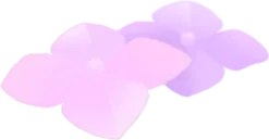 紫陽花の小花の画像