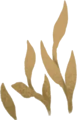 水底の金色の草・左の画像