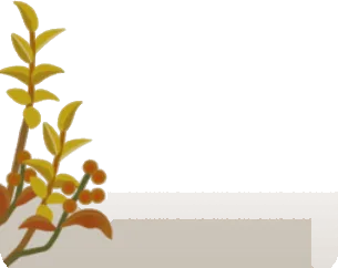 秋の森の小さな植物の枝の画像