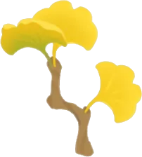 横から生えてきたイチョウの画像