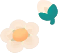 苺の花と蕾の画像