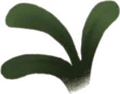 ひっそり生える水草の画像