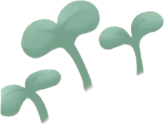 芽吹きの葉・左の画像