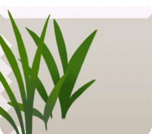 水辺に生えた草・左の画像