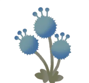 丸い青色の花の画像