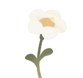 名もなき白い花・左の画像