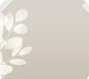 種を落とし切ったルナリアの画像