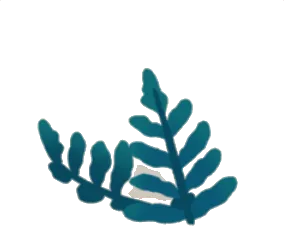 水辺のヒメカナワラビの画像