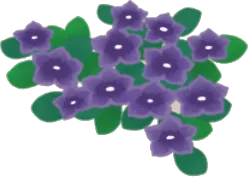 ミニキキョウの画像