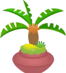ソテツの植木鉢の画像
