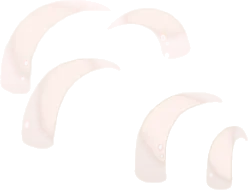 骨のミニアーチの画像