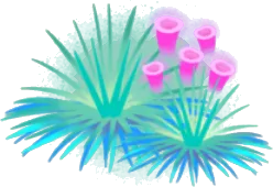 空気水草2の画像